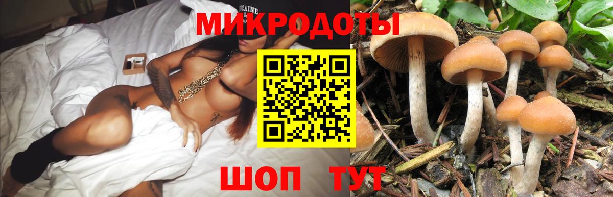 Алатырь  Псилоцибиновые грибы Cubensis  Вход с VPN 